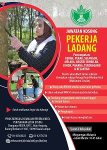 Maklumat Jawatan Kosong Risda Terkini Cara Permohonan